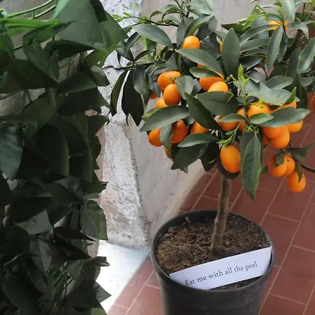 Casetta Di Angie Appartamento *